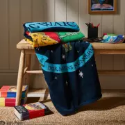 Dunelm's £10 Harry Potter Throw is the Perfect Christmas Gift for Fans