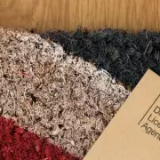 DVLA Demands £195 from EV Owners as New Road Tax Kicks In