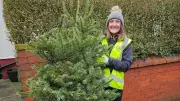 Family's 15-Year Christmas Tree Collection Tradition Continues for East Cheshire Hospice