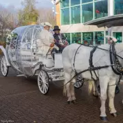 Inside the £19,000 Fifth Birthday Party with Horse-Drawn Carriage
