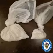 Major Drug Stash House Uncovered in Birmingham Raid