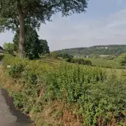 Masked Bikers Attack Dog Walker in Stourport Park