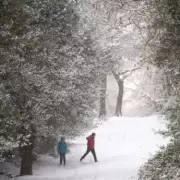 Met Office's White Christmas Verdict: Arctic Blast Brings Frost, Not Snow