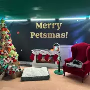 Pets At Home's Festive Dog Grotto Opens at Birmingham Bullring