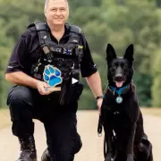 Police Dog Stark Dies: Heroic K9 Survived 20 Machete Blows in 2020 Attack