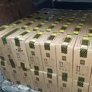 Police Seize £30k of 'Laughing Gas' in Small Heath Factory Raid