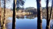 Rossendale Ramblers Enjoy 6-Mile Reservoir Walk in Glorious Bolton Sunshine