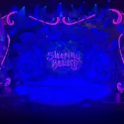 Sleeping Beauty Panto Review: Utterly Chaotic Fun at Wolverhampton Grand