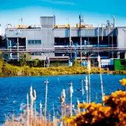 Sterling Pharma Eyes 2026 Recovery After £50.4m Loss and 28% Sales Drop