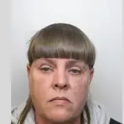 Suspended sentence for driver who killed grandmother, 85, in hit-and-run