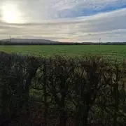 Swindon Green Belt Plan: 300 Homes Proposed Near Wanborough