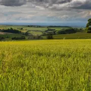 Teenagers Critically Injured in County Durham Farm Tractor Rollover
