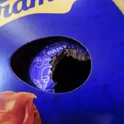 The Range fined £400k after rodents gnaw Easter eggs in Kidderminster store