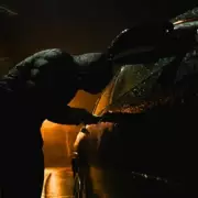 Three in Four UK Car Thefts Unsolved, Sparking 'Decriminalised' Claims