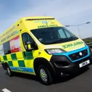 Toddler, 2, Hospitalised After Dog Bite to Face in Cradley