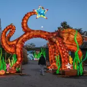 Twycross Zoo's Dazzling Lantern Trail: Over 2,000 Lights & The Gruffalo