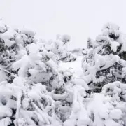UK Braces for 30-Hour Blizzard as Six English Counties Face Snow Bomb