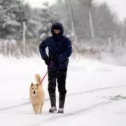 UK Braces for -3C Snow Blitz: 12 Counties on Alert Including Birmingham