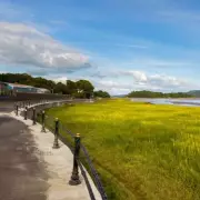 UK Hare Shooting Ban: Labour Implements 'Close Season' for Most of Year