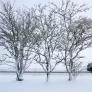 UK Snow Alert: 21-Hour Blizzard to Hit Four English Counties Next Week