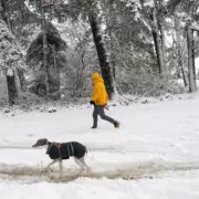 UK Snow Bomb Alert: Three-Day Blast Targets Four English Counties