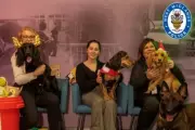 West Midlands Police Dogs Get Festive Treats from Staff Donations
