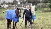 Working Ponies Return to UK Farming at Sussex Disability Support Centre