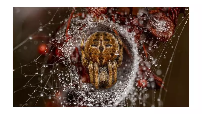 10-Year-Old Jamie Smart Wins Wildlife Photographer of the Year 2025 Category