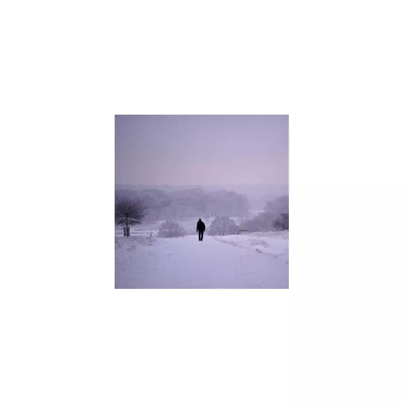 11 English Counties Brace for Snow Bomb from Tuesday - Full List