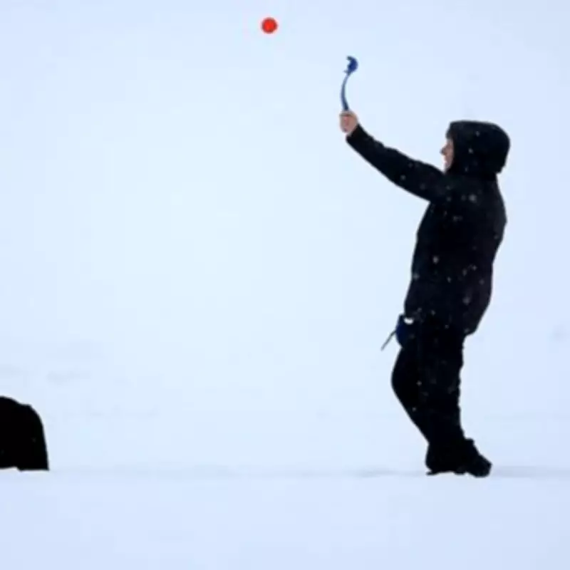 17 English Counties to Avoid Major Snowfall as West Midlands Braces for Winter Blast