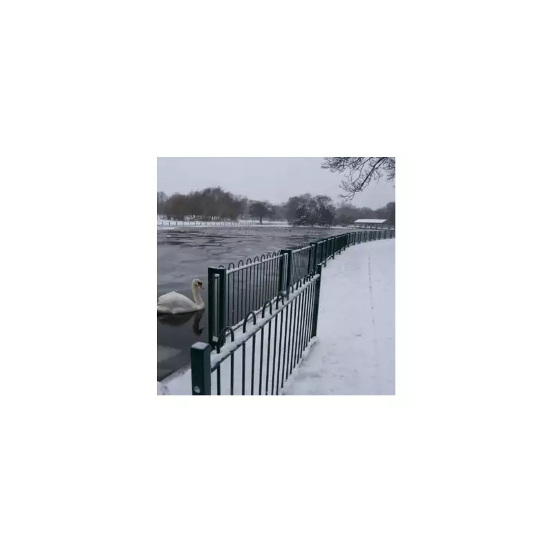 19 English Counties Brace for February Snow Bomb as Forecast Maps Confirm Widespread Blizzards