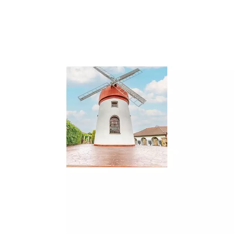 £1m Wednesbury landmark house with windmill approved as children's home