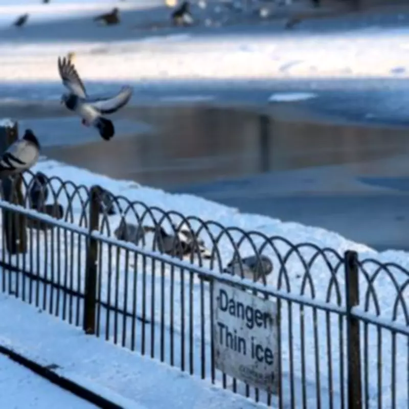 24 English Counties to Avoid Snow Bomb from Tuesday - Full List