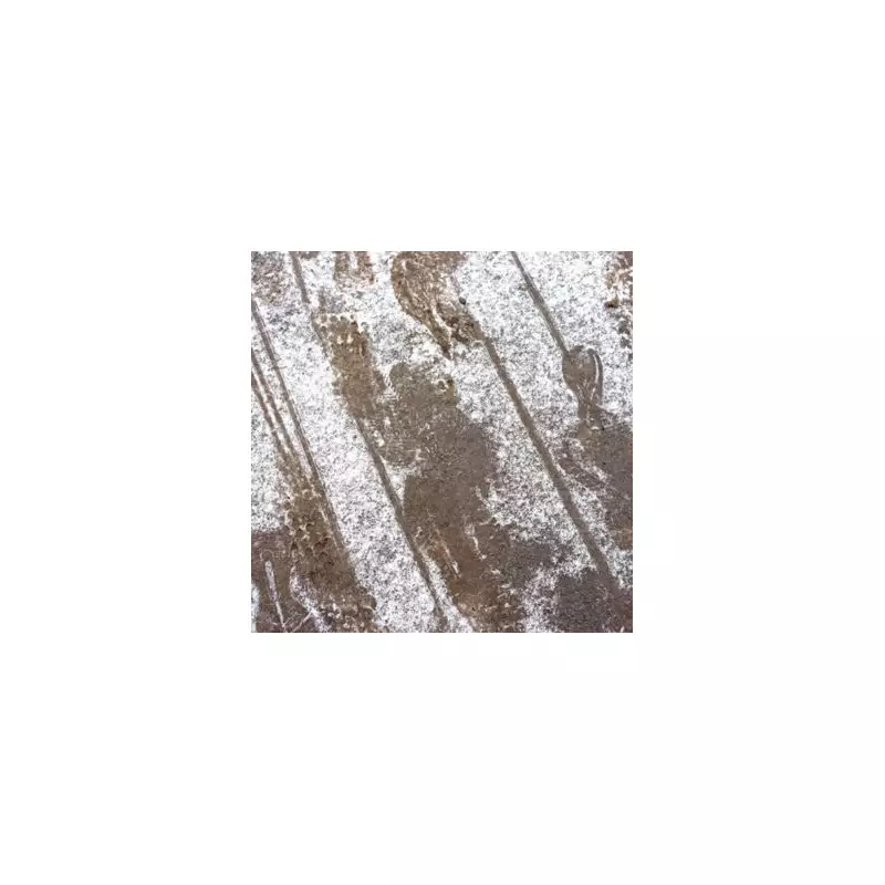 29 English Counties Brace for Snow on Friday as Storm Goretti Hits