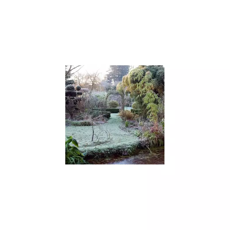 5 Essential January Garden Jobs to Ensure a Vibrant Spring Bloom