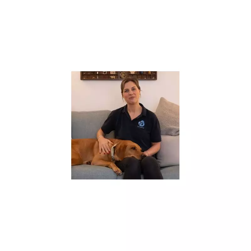 5 Expert Tips to Teach New Tricks to Your Older Dog