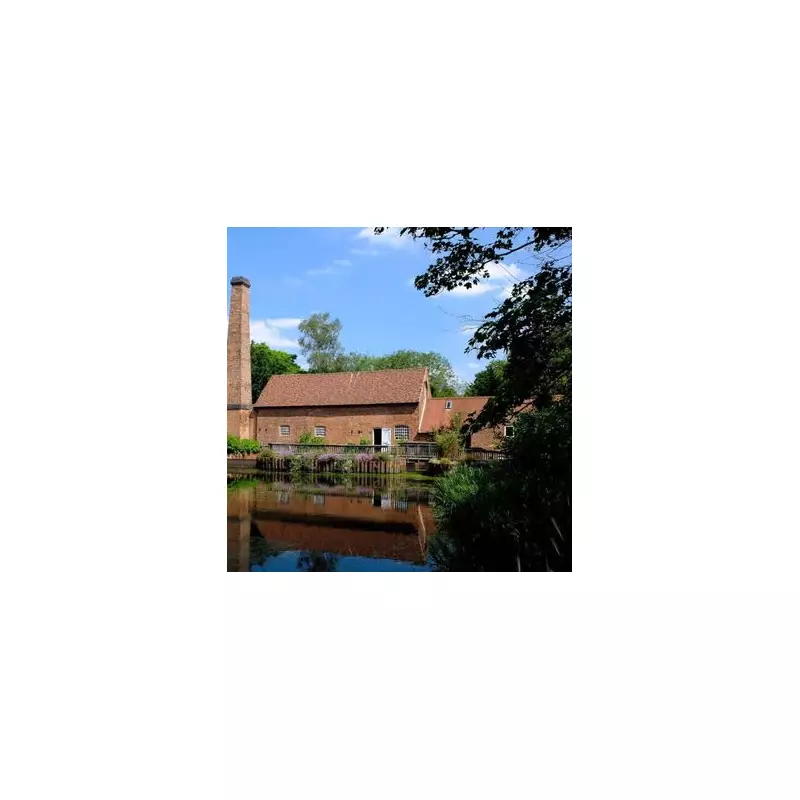 50 Budget-Friendly Family Days Out for Universal Credit Recipients