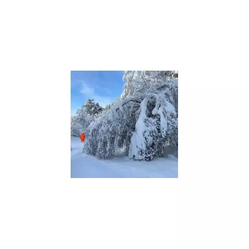 79 UK Areas Brace for 1-6 Inches of Snow on Tuesday, Met Office Warns