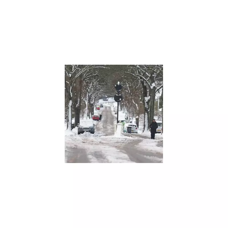 83 of 89 Birmingham secondary schools shut as Storm Goretti snow hits