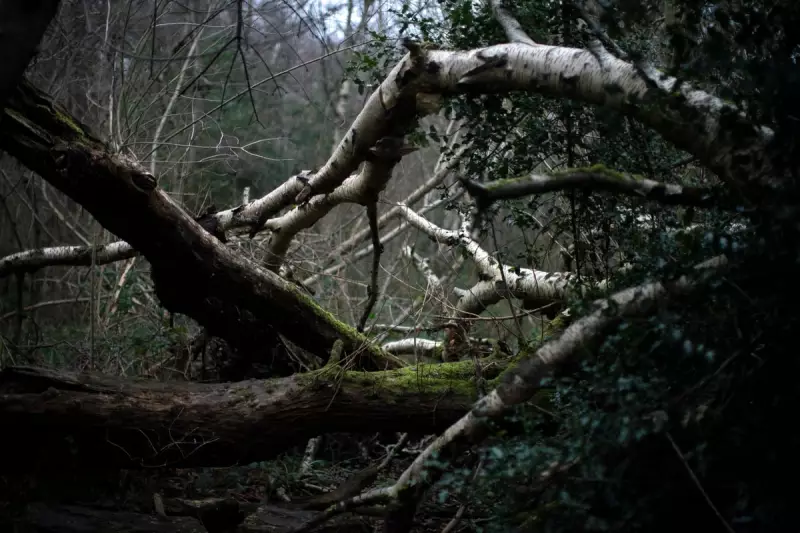 9 Dream World West Midlands Locations Inspired by Colbert & Plant