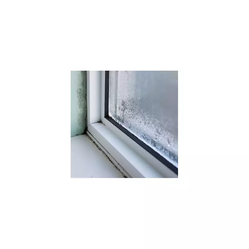 Amazon Deal Slashes Aribio Dehumidifier to £89.99 to Fight Winter Damp