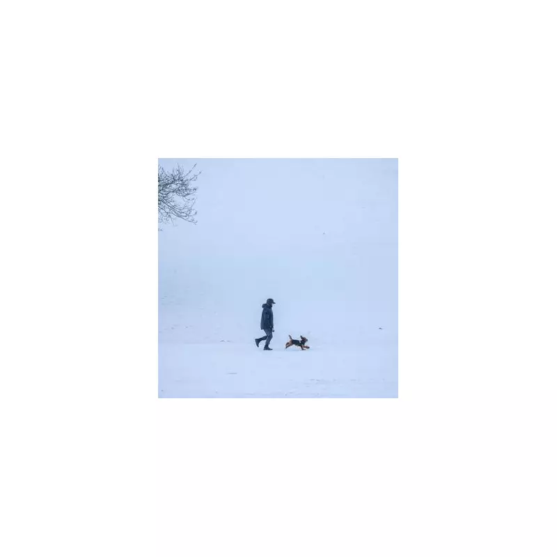 Amazon's £23.99 'Stylish' Wellies Are a Hit During Birmingham Snowstorm