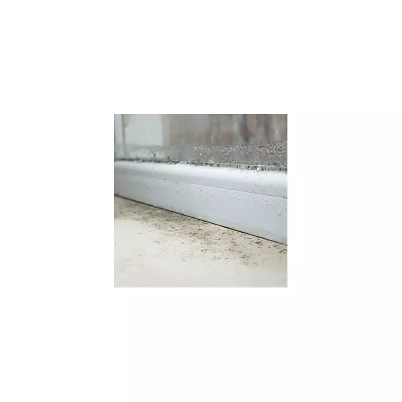 Amazon's 'Lifesaver' Dehumidifiers Under £1 Fight Winter Mould