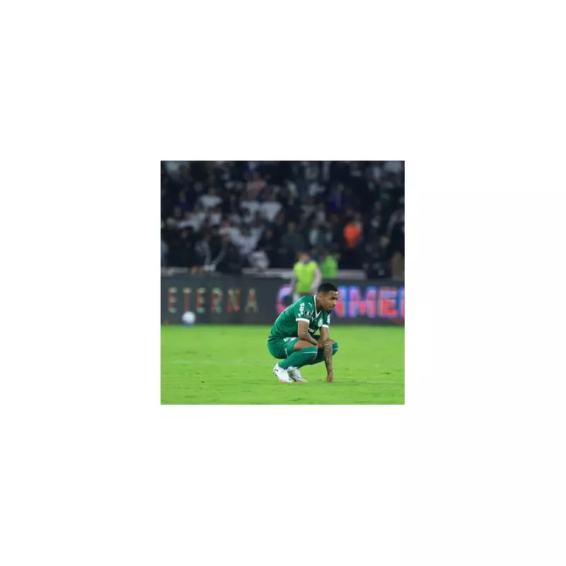 Aston Villa Make Enquiry for Palmeiras Starlet Allan with €100m Release Clause