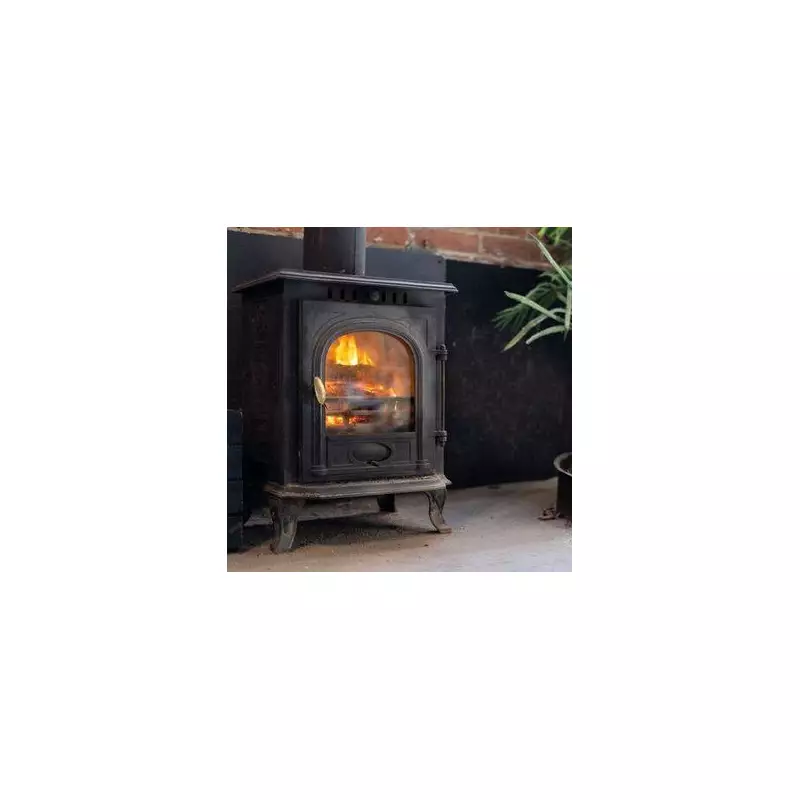 Banning Wood Burners Could Save 1,500 Lives and £54m for NHS Yearly