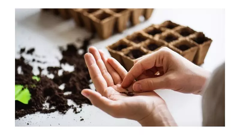 Beat Winter Blues with Indoor Seed Sowing for Stronger Plants