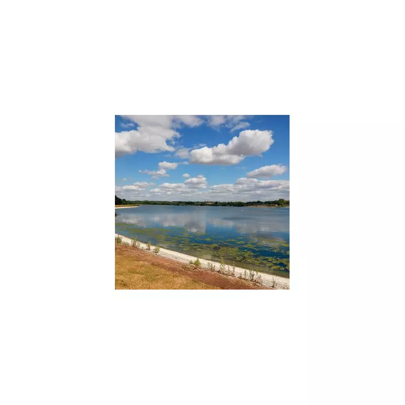 Best Family Walks Near Birmingham: Brummie Mummies' Top Picks