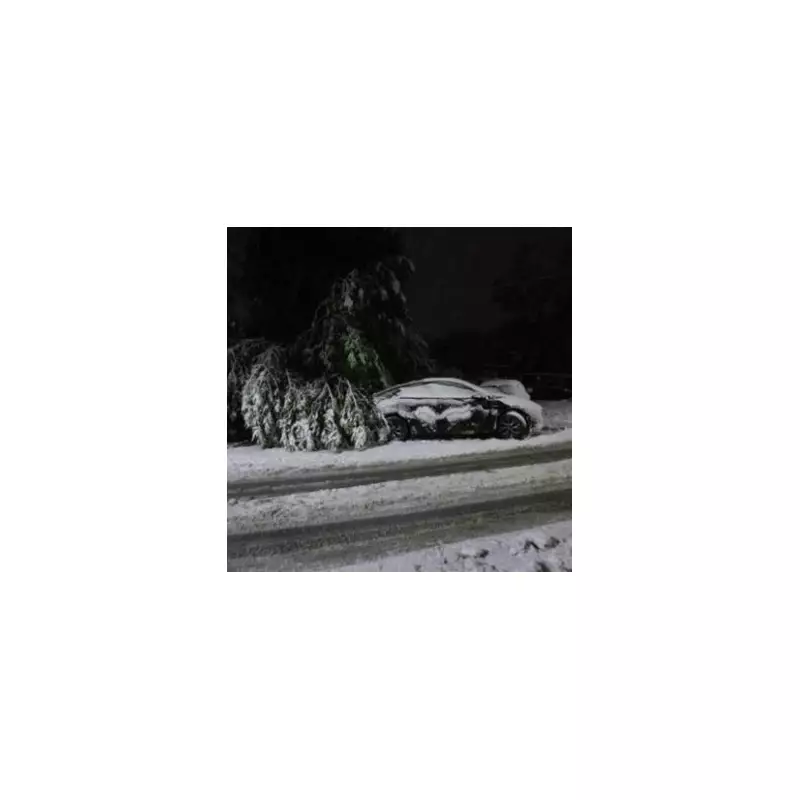 Birmingham Braced for 5 Inches of Snow as New UK Weather Maps Predict Wintry Blast