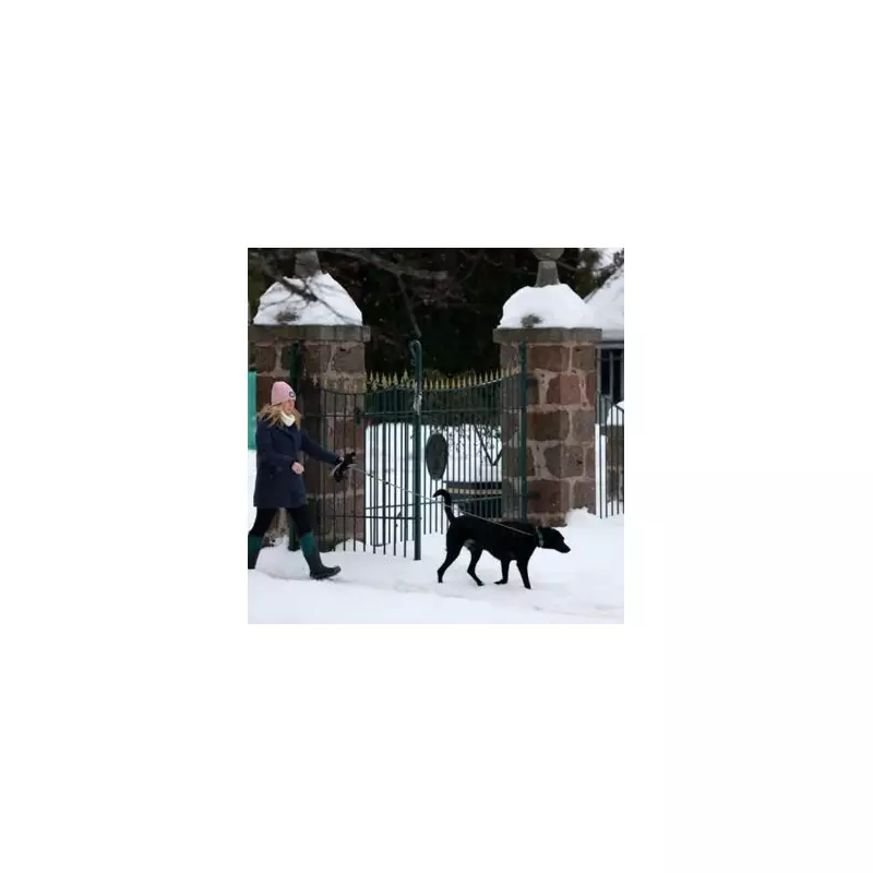 Birmingham Braces for 13-Hour Snow Storm: Met Office Issues Amber Alert