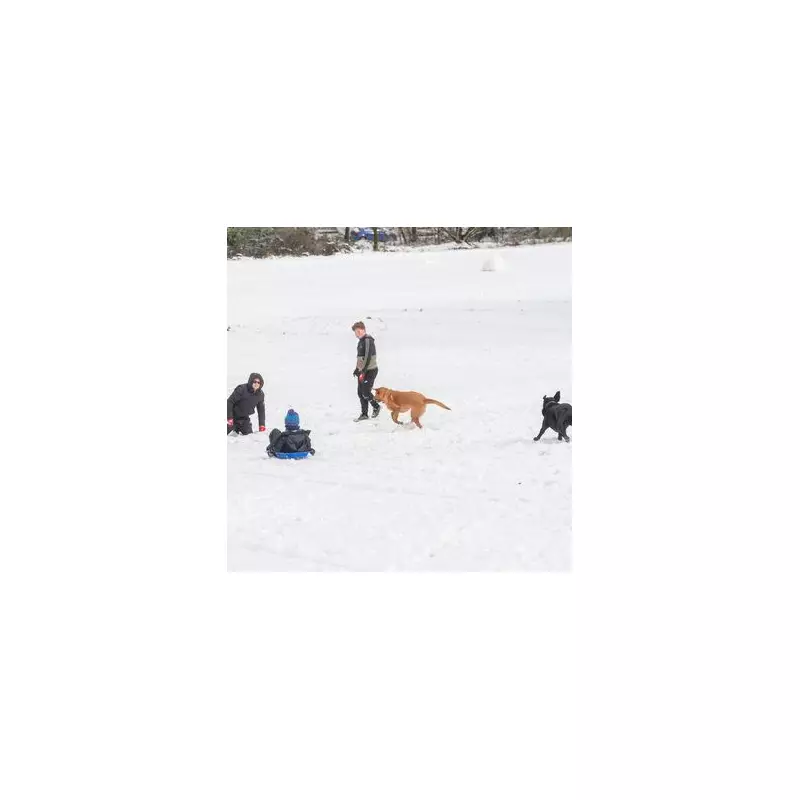 Birmingham Braces for Two More Snowfall Episodes Before January Ends